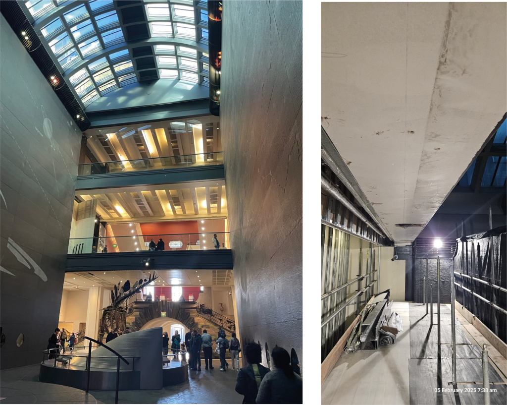 Glazed Smoke Barrier System for the Natural History Museum